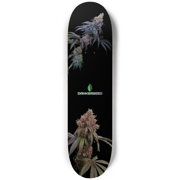 Dankerseed - Holographic Decks (QTY 1 - 9) - Wholesale