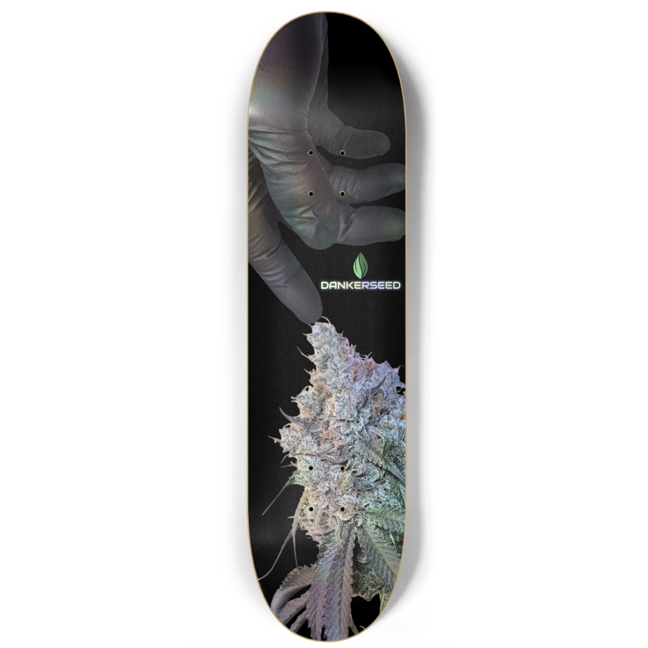 Dankerseed - Holographic Decks (QTY 100+) - Wholesale