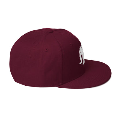 Elephant Back - OG  Logo - Snapback Hat