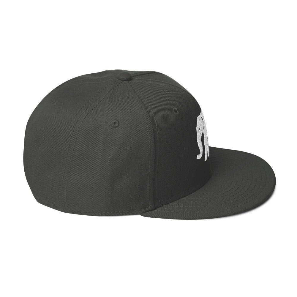 Elephant Back - OG  Logo - Snapback Hat