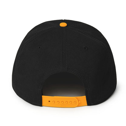 Elephant Back - OG  Logo - Snapback Hat