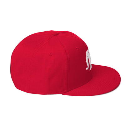 Elephant Back - OG  Logo - Snapback Hat